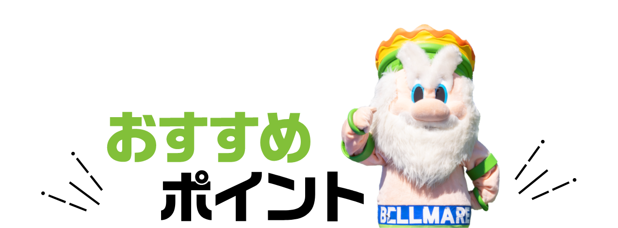 ポイント